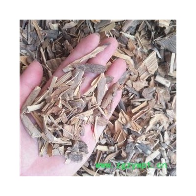 安祁名药刺龙芽  刺龙芽皮 刺老芽根皮