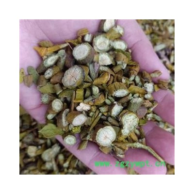 槲寄生 统货 选货 产地 辽宁省 小影全品类中药材店铺