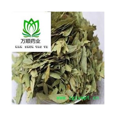 精品番泻叶选货 药茶二用新货颜色好 质量好 价格低 产地直销  产地 广西壮族自治区