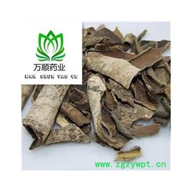 精品救必应统货 救必应厚皮 产地直销  产地 广西壮族自治区