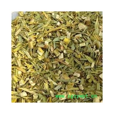 安祁名药中药材 铁树叶 苏铁叶 新货无硫颜色好