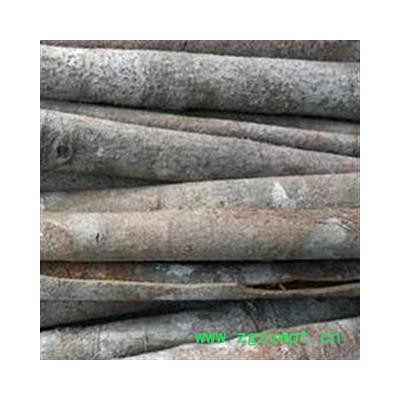 肉桂 小统 精品肉桂 整枝完整 纯干无虫蛀 不掺桂碎 味道辛辣浓重 假一赔十  产地 广西壮族自治区