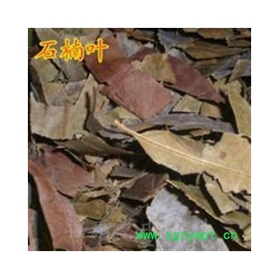 石楠叶统 产地 辽宁省