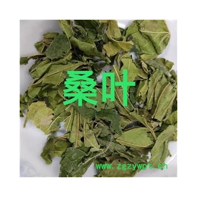 桑叶 青桑叶统货 产地 山东省