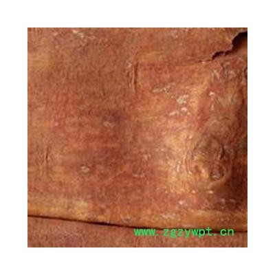 大板 紫油桂 刮皮板,油性十足, 批发各种规格名贵药材 中草药 花茶