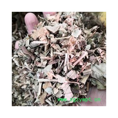 诺源药材行中药材落花生枝叶 花生叶