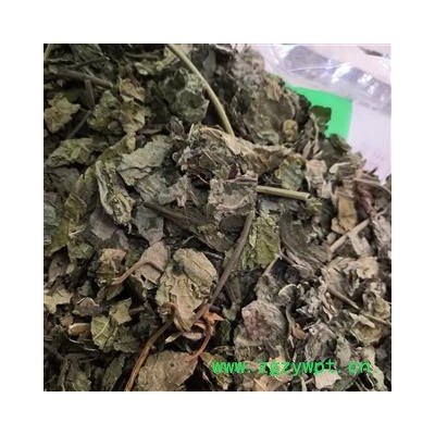 诺源药材行优质楮树叶 楮叶  枸树叶