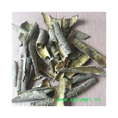 安祁名药救必应 白银树皮 九层皮 白兰香
