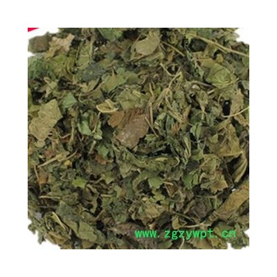 安祁名药正品桑叶 霜桑叶