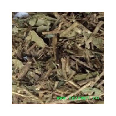 安祁名药正品三角枫  三角风