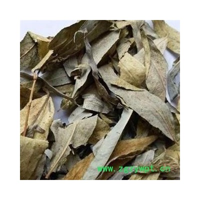 安祁名药麻柳叶 柳叶 柳树叶 另有柳枝