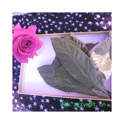 枇杷叶 统段产地 四川省成都市双流县