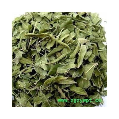 罗布麻 精品罗布麻叶 今年新货 颜色青产地 新疆维吾尔自治区