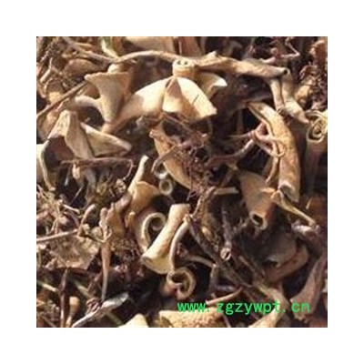 石苇 绿色小叶石韦统段 过筛 无杂质 产地 云南省