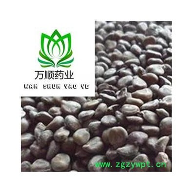 望江南 望江南选货 干净无杂质  质量好 价格低  产地 广西壮族自治区