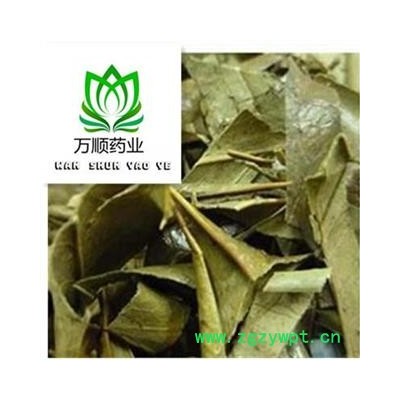 精品选装十大功劳叶 有刺 质量好  价格低 规格齐全  产地 广西壮族自治区