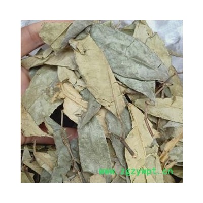 安祁名药正品山香圆叶 两指剑 千打锤 七寸钉