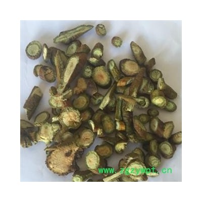 诺源药材行正品寄生 柳寄生