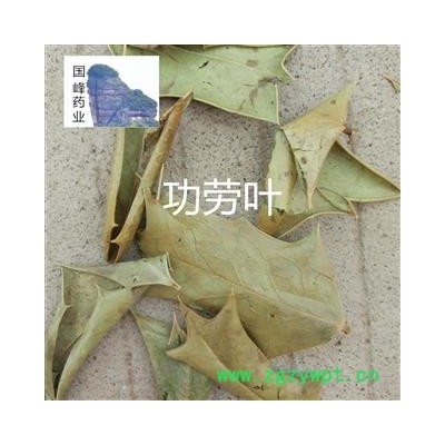 功劳叶 颜色好 低价销售 十大功劳叶 优质正品 全干 无虫蛀 国峰药业 重在品质 产地 广西壮族自治区