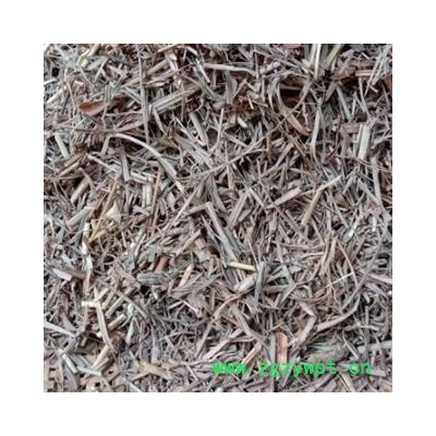 柠檬草，柠檬香茅，香草 精品好货 产地 四川省成都市双流县