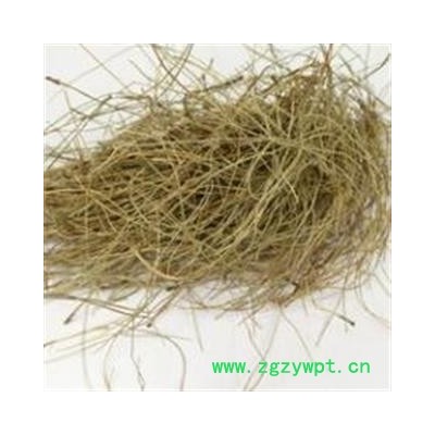 松针 精品选货颜色好 产地 山东省