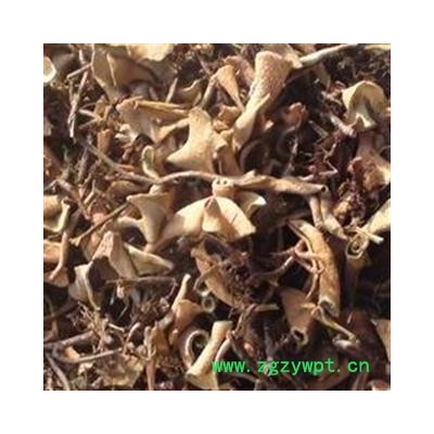 精品小叶石苇好统货  过筛无杂质 质量好