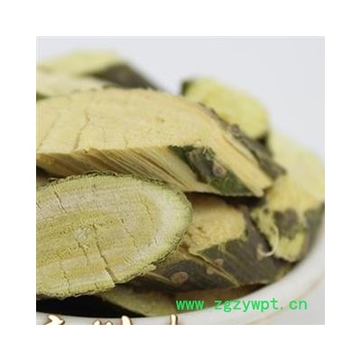 小丽百草行槐树枝 槐枝  槐枝 槐嫩蘖