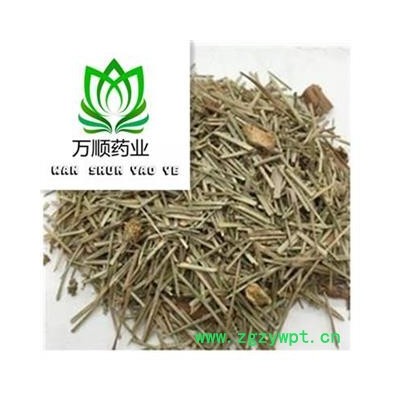 松针选货 质量好 价格低  产地 山东省