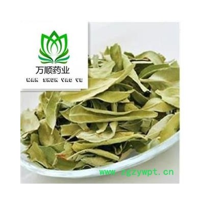 精品选装罗布麻 大叶罗布麻选货 新货颜色好 质量好价格低 规格齐全  产地 新疆维吾尔自治区