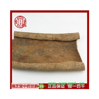 肉桂选片  树干厚皮 中药材 瑞芝堂产地直销1000克药典正品 规格齐全 一站购齐