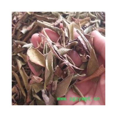 诺源药材行中药材芦荟干茶 优质芦荟茶 正宗芦荟叶干片