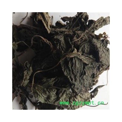 紫苏叶 紫苏叶全叶选货 产地 山东省