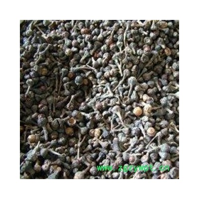 肉桂 肉桂子 产地 广西壮族自治区