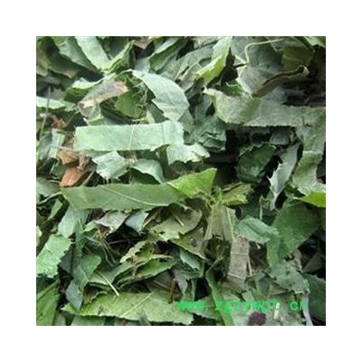 青淫羊藿 纯青淫羊藿统段 产地 吉林省