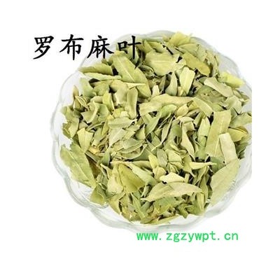 罗布麻叶 小罗布麻叶统货 新货 颜色好 纯青 货干无杂质 为冲销量 货好价低