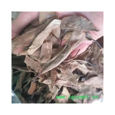 诺源药材行中药材榕树叶  小榕叶 落地金钱