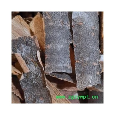 暴马子皮 暴马子皮统货 产地 辽宁省