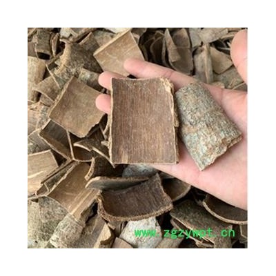 诺源药材行野生鸭脚木皮 西加皮 鸭脚树