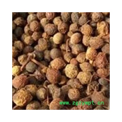 诺源药材行中药材优质香樟木 香樟子  樟木子