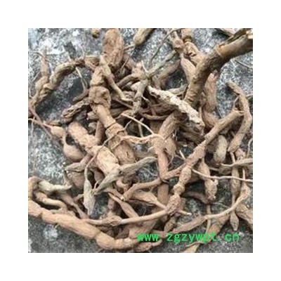 安祁名药正品野生老虎刺  虎刺根  绣花针 地下部分