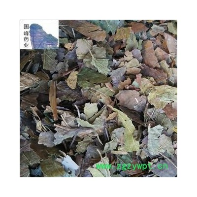 桑叶 霜桑叶 足干 自然色 无硫磺 统货 产地 山东省