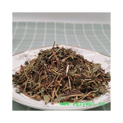 夜交藤 选片 产地 四川省成都市双流县