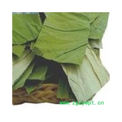 荷叶 荷叶中方片2.5×2 药茶两用 假一赔十 新货上市 颜色新鲜 产地 山东省