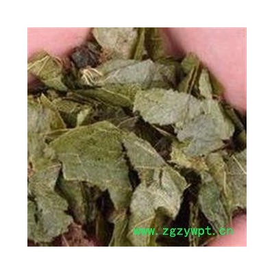 淫羊藿 灸淫羊藿 制淫羊藿 产地 吉林省