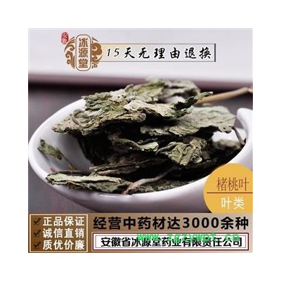 楮桃叶 楮叶 统 产地 山西省