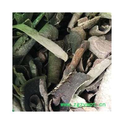 救必应 薄皮救必应 产地 广西壮族自治区