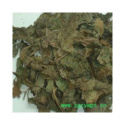 霜桑叶 家桑 荆桑 桑椹树 黄桑 霜叶霜 叶蜜 桑叶冬桑叶选货 产地 四川省 批发各种冷背中草药个子