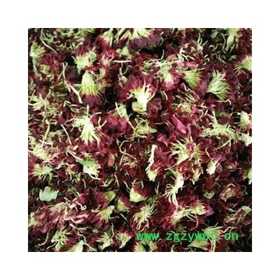 康乃馨 康仙花 百花茶 花茶选货 产地 江苏省
