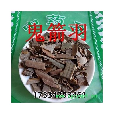 中药材鬼箭羽 鬼箭羽 鬼见羽卫矛 六月凌 四面戟