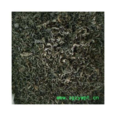 杜仲叶 杜仲茶 精选 产地 四川省